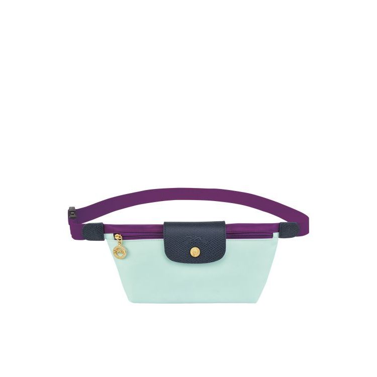 Longchamp Celadon Canvas Heuptas Gekleurd | 610483-PZA