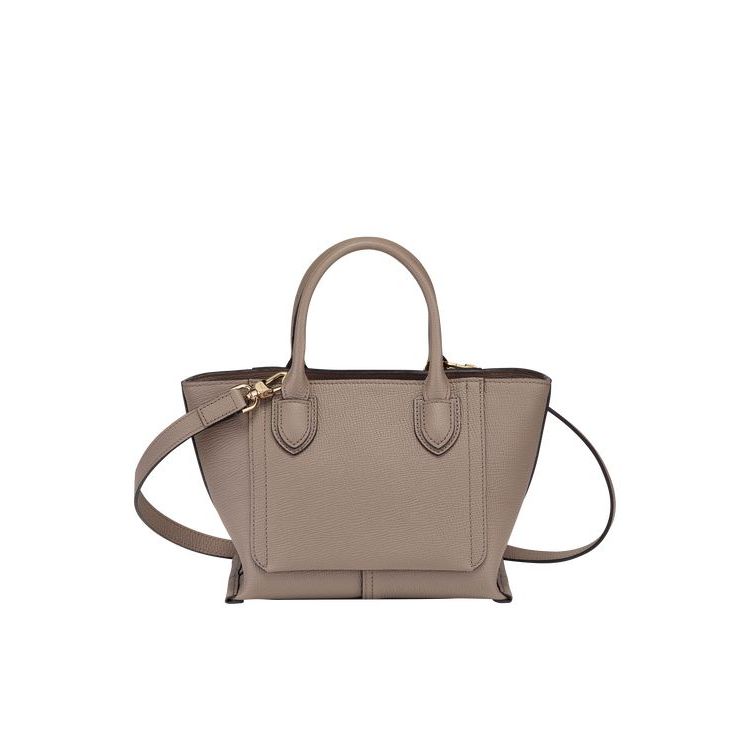 Longchamp S Leren Mini Tassen Grijs Bruin | 549307-WKO