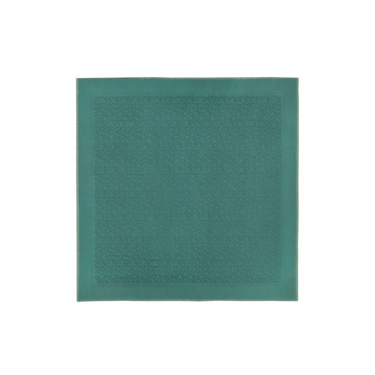 Longchamp Shawl Other Sjaals Grijs Groen | 498503-NRQ