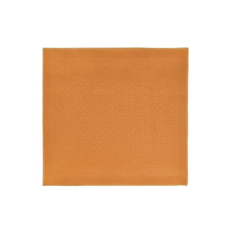 Longchamp Shawl Saffron Other Sjaals Oranje | 496230-TIY