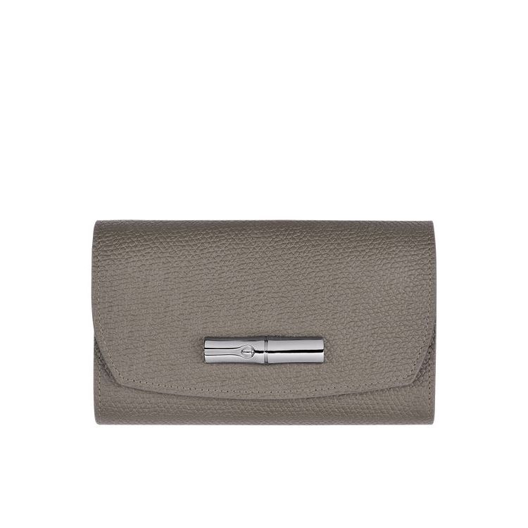 Longchamp Turtledove Leren Portefeuille Grijs | 641829-HDI