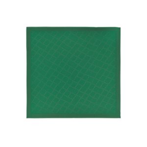 Longchamp Shawl Silk Blend Sjaals Groen | 936752-FQX